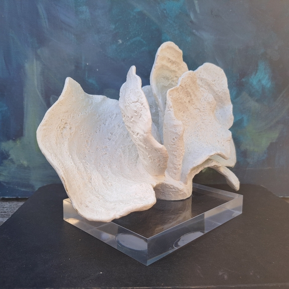 Faux white Coral Decor on Acrylic Base - Picture 4 of 10